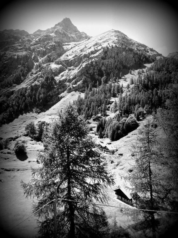 Il Piccolo Residence Gressoney-La-Trinite Bagian luar foto