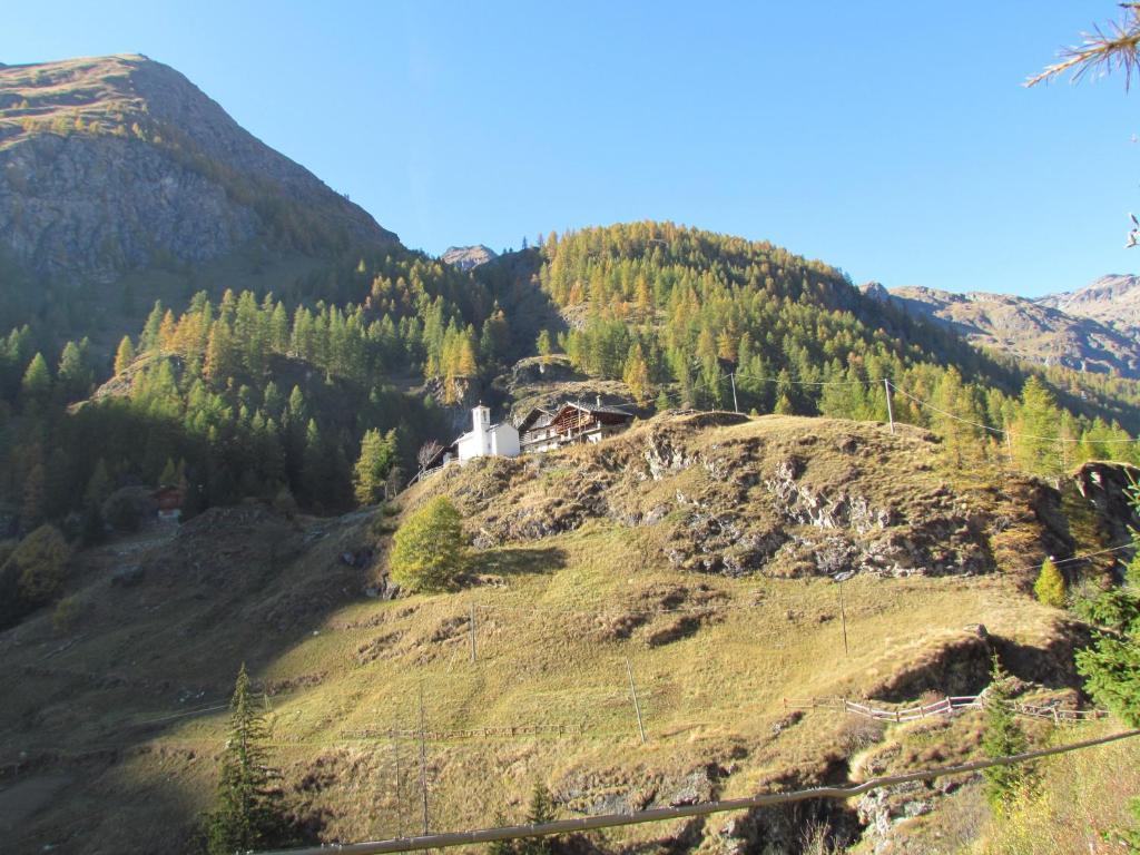 Il Piccolo Residence Gressoney-La-Trinite Bagian luar foto