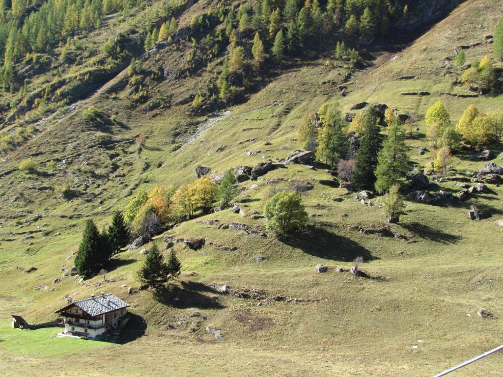 Il Piccolo Residence Gressoney-La-Trinite Bagian luar foto